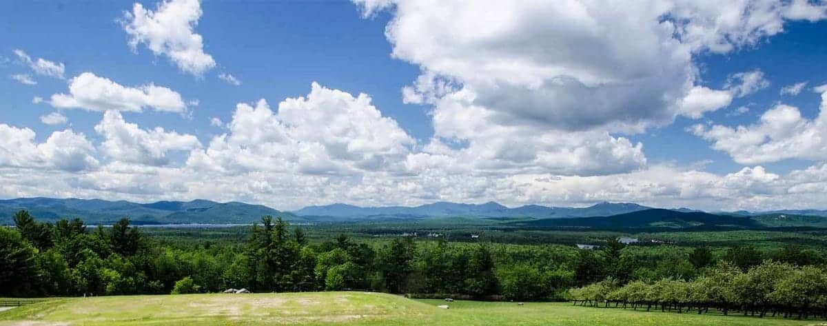 landscape of green grass, trees, mountains, and sky