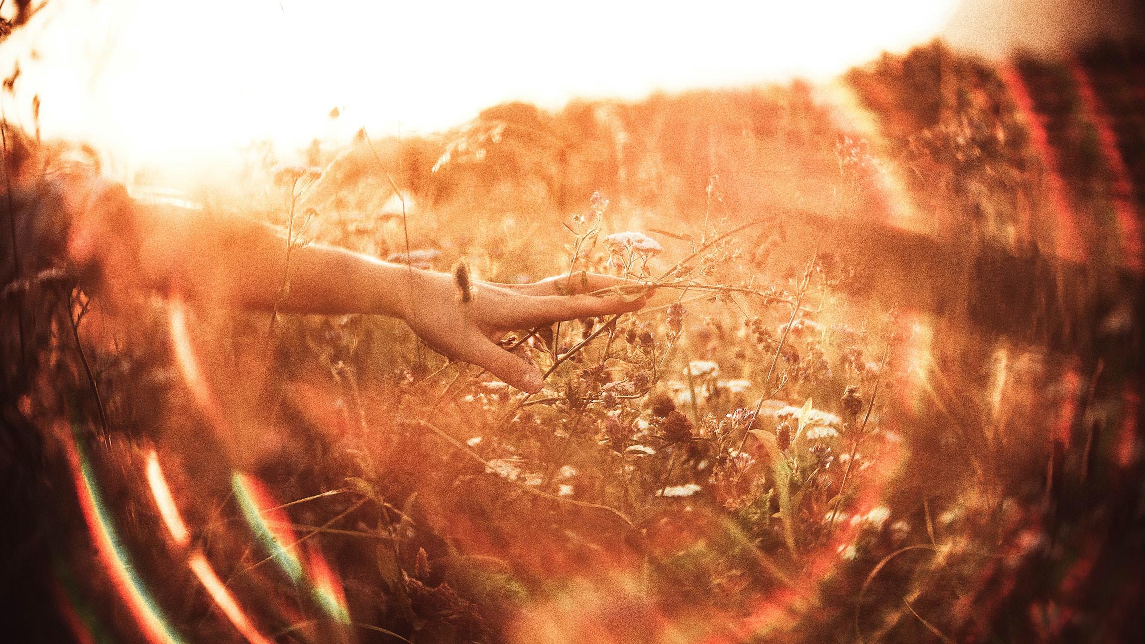 Holistic Mental Health