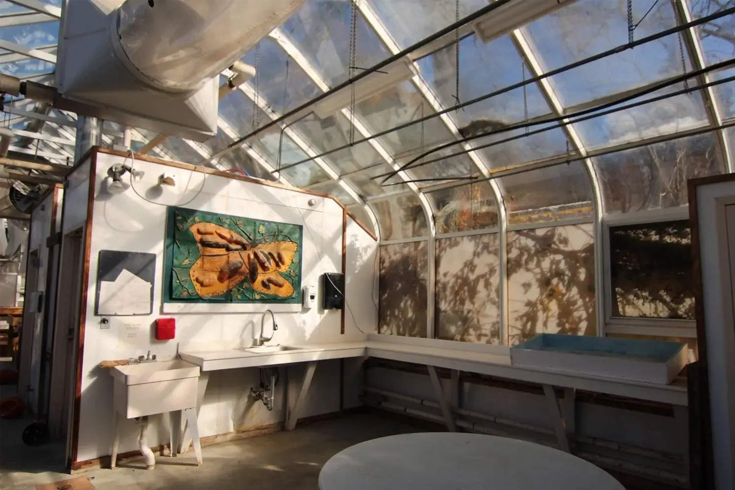 GMTC_greenhouse_inside