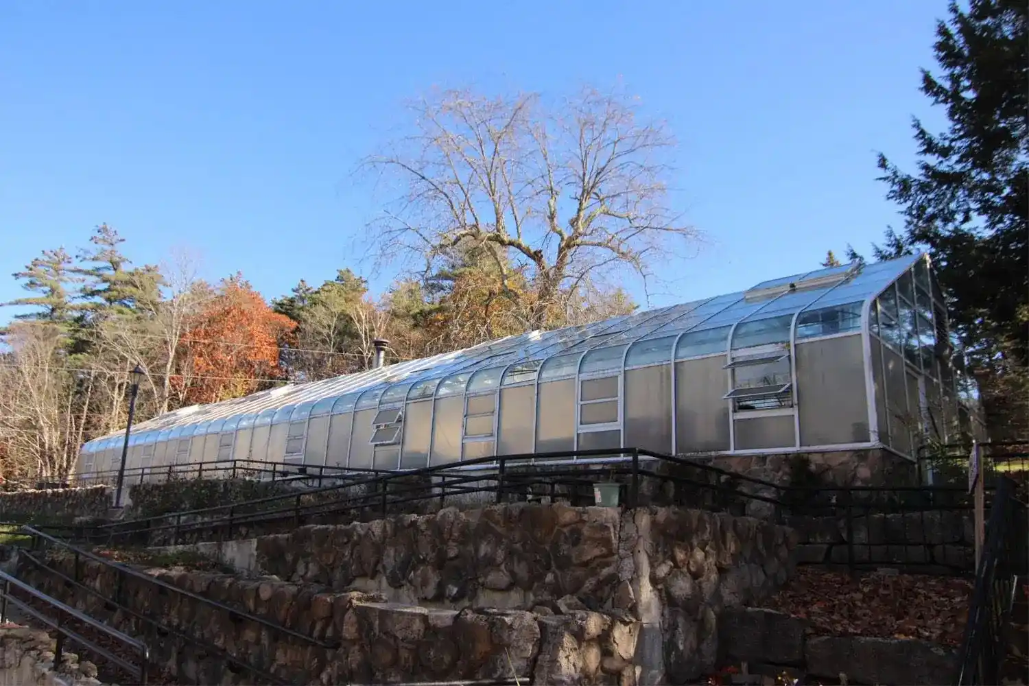 GMTC_greenhouse_outside